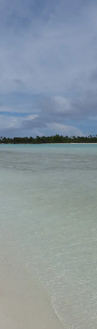 Honeymoon Island